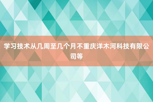 学习技术从几周至几个月不重庆洋木河科技有限公司等